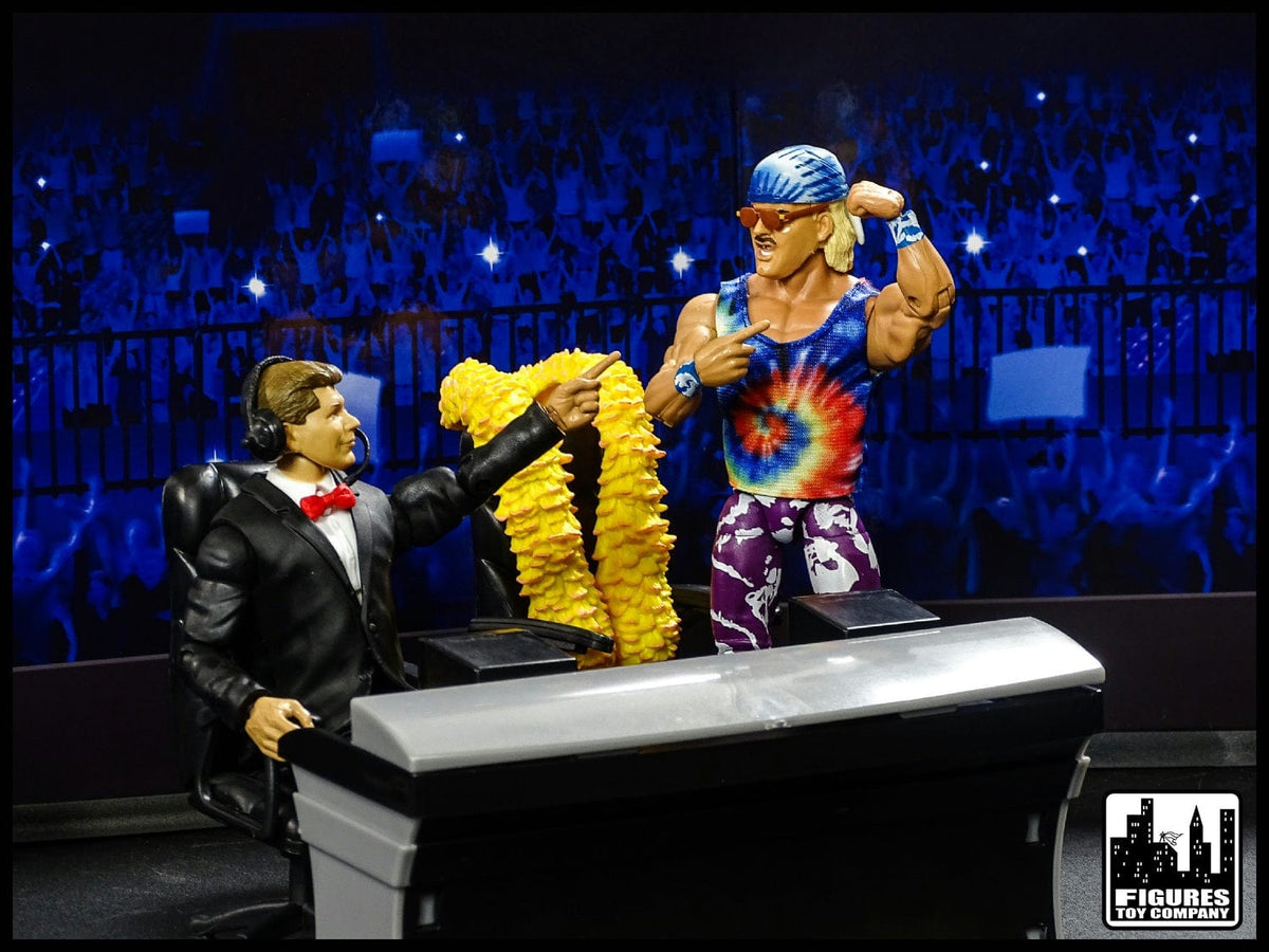 Reversible Wrestling Action Figure Backdrops for WWE Wrestling Action Figures