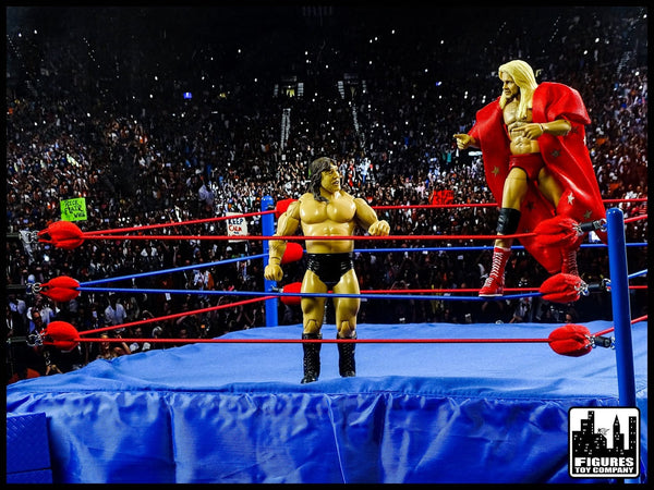wrestling-ring-conversion-kit-