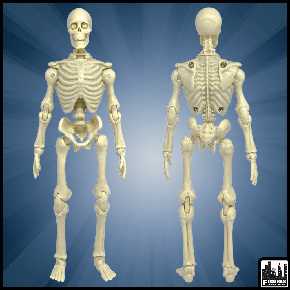 8 Inch Type S White Skeleton Body