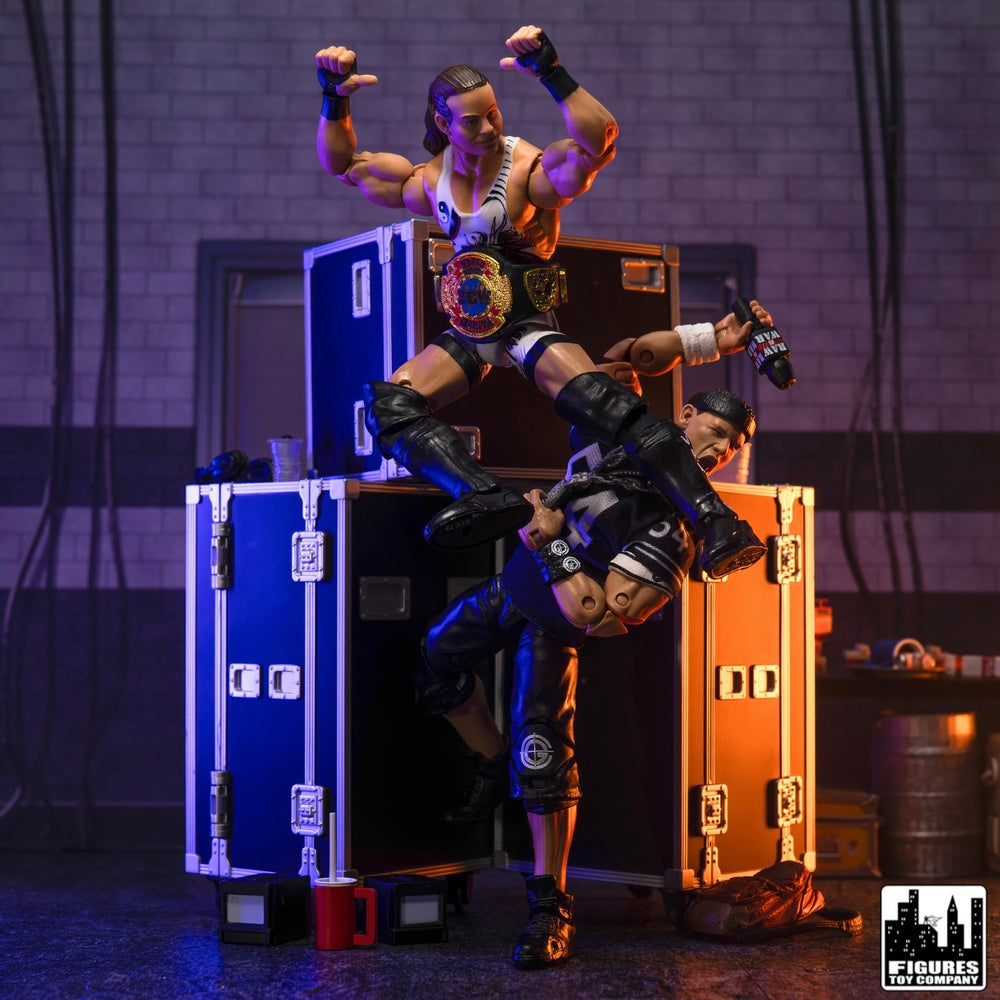 Set of 2 Road Cases for WWE &amp; AEW Wrestling Action Figures