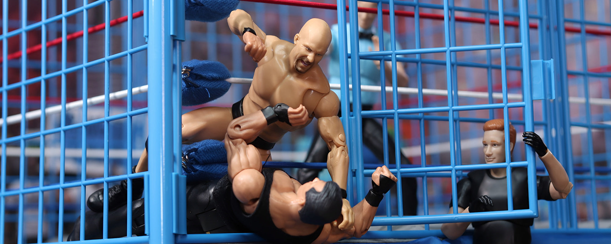 Classic Steel Cage & Ring