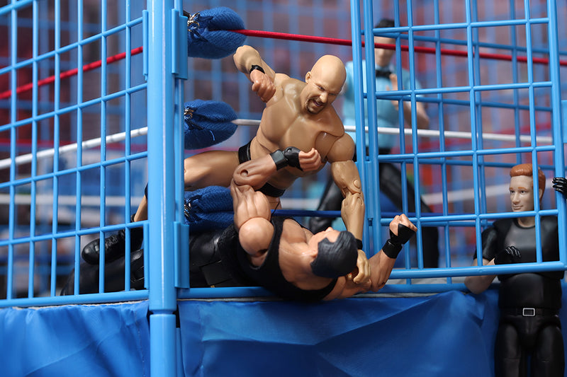 Classic Steel Cage & Ring