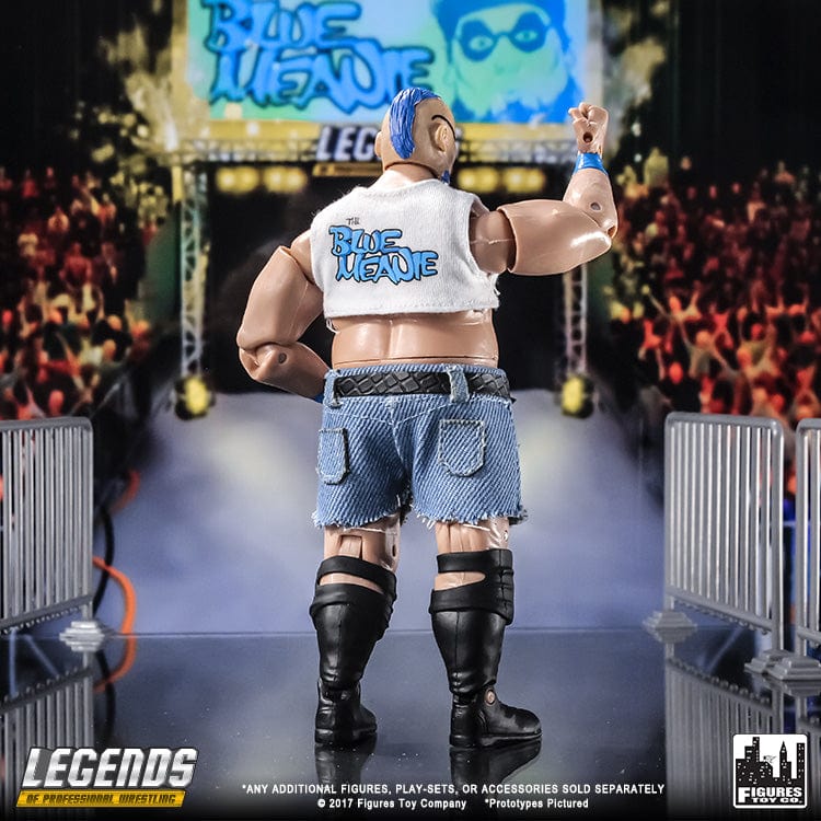 Legends of Professional Wrestling Series 1 Action Figures: The Blue Meanie