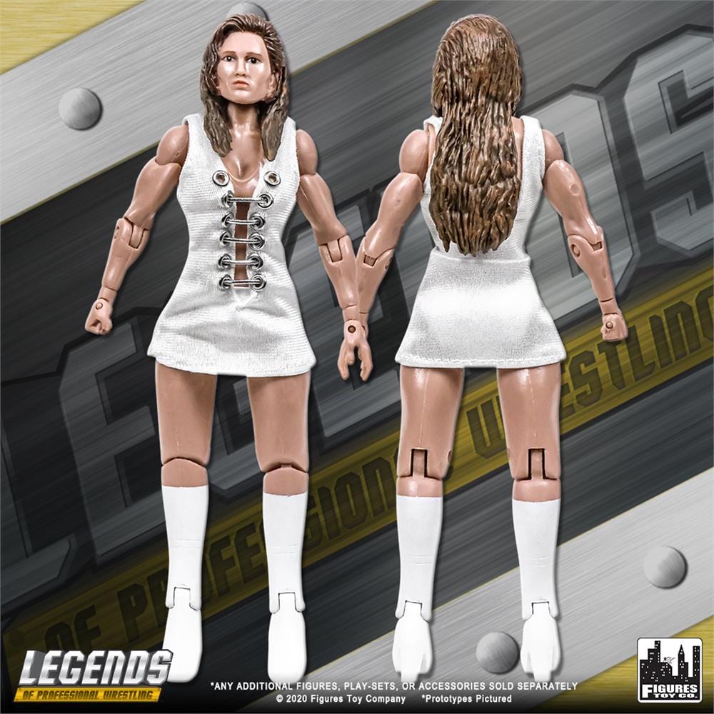 Legends of Professional Wrestling Series Action Figures: Accessory Set &amp; FREE Loose Figure