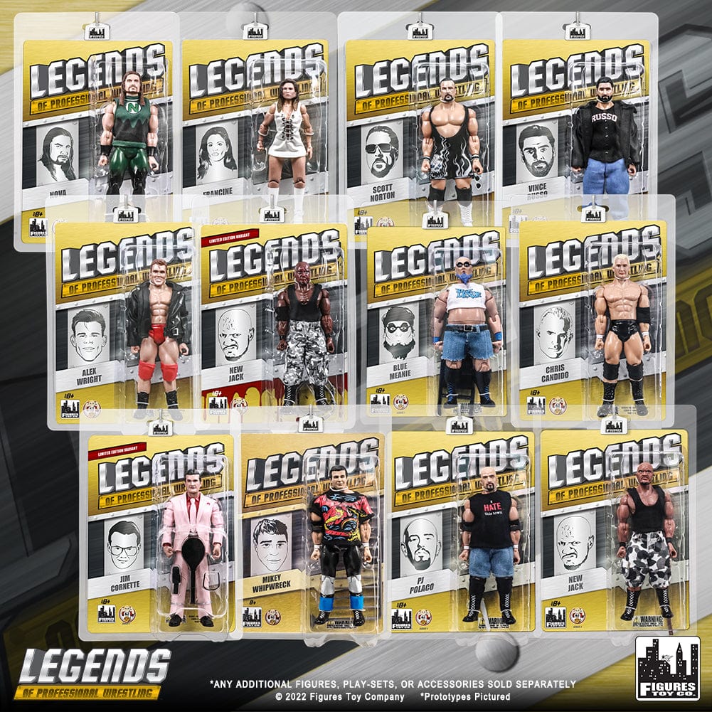 Legends of Professional Wrestling Series Action Figures: Set of 12 Figures