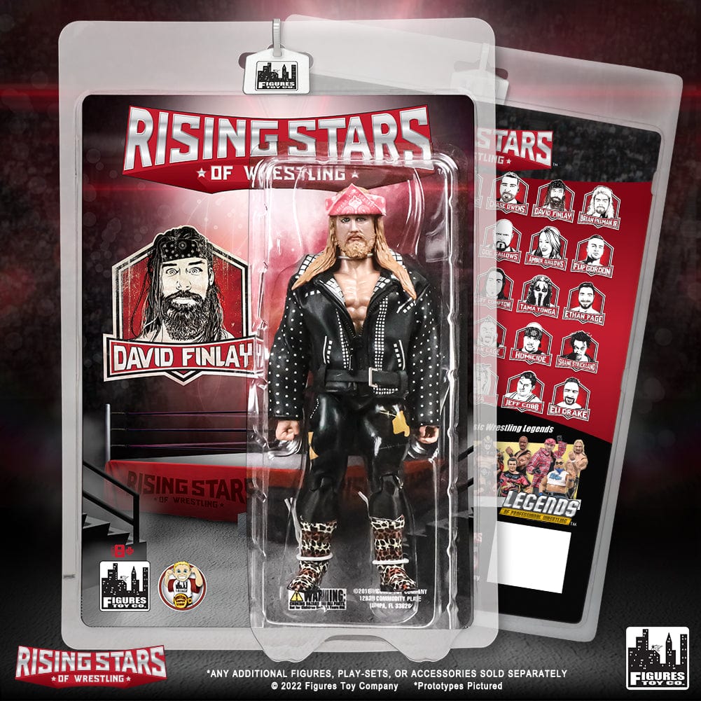 Rising Stars of Wrestling Action Figure Series: David Finlay