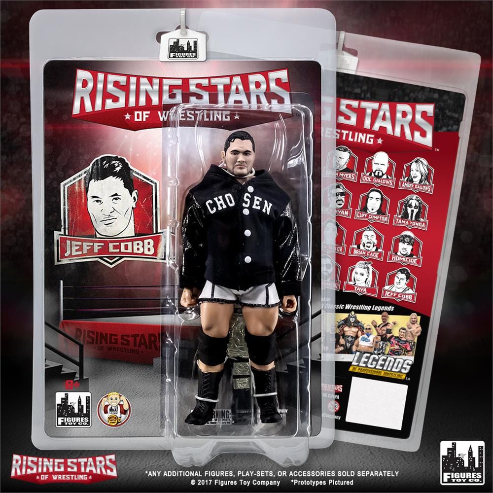 Rising Stars of Wrestling Action Figure Series: Jeff Cobb