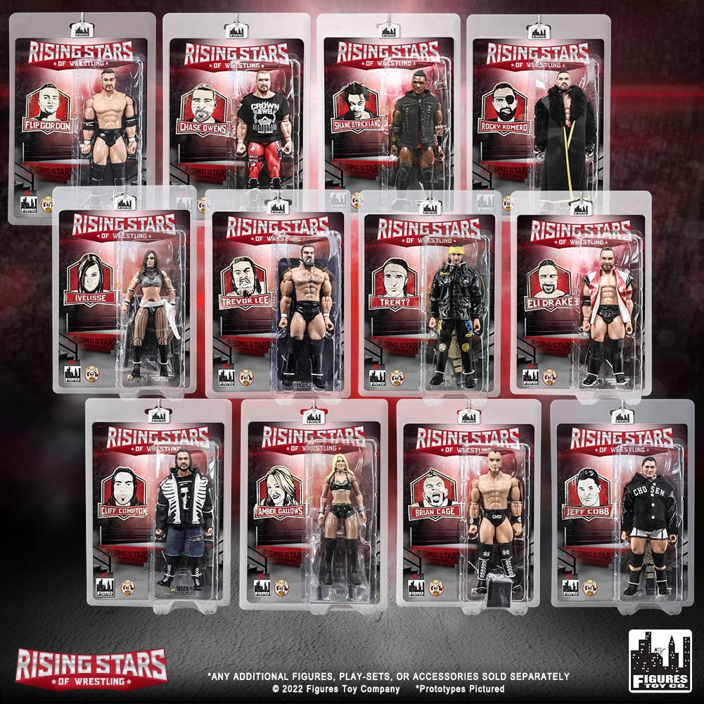 Rising Stars of Wrestling Action Figure Series: Set of 12 Figures